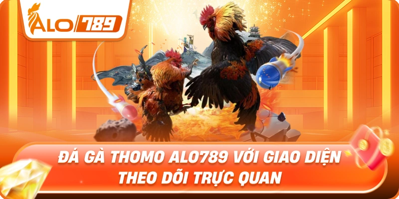 Đá gà Thomo ALO789 với giao diện theo dõi trực quan